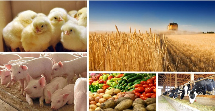 Производство основных видов продукции животноводства  и наличие скота и птицы в сельскохозяйственных организациях Республики Марий Эл за январь-декабрь 2021 года